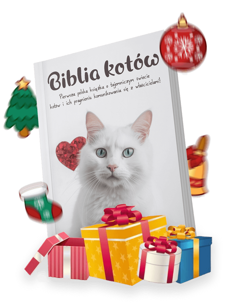 biblia-kotówoooo-1-converted.png__PID:e7c34107-7a24-4f3f-9cbb-3d053898f4e2