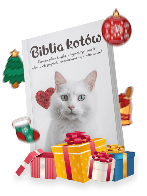 biblia-kotówoooo-1-converted.png__PID:e7c34107-7a24-4f3f-9cbb-3d053898f4e2